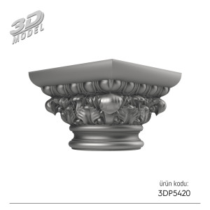 Sütun 3DP5420